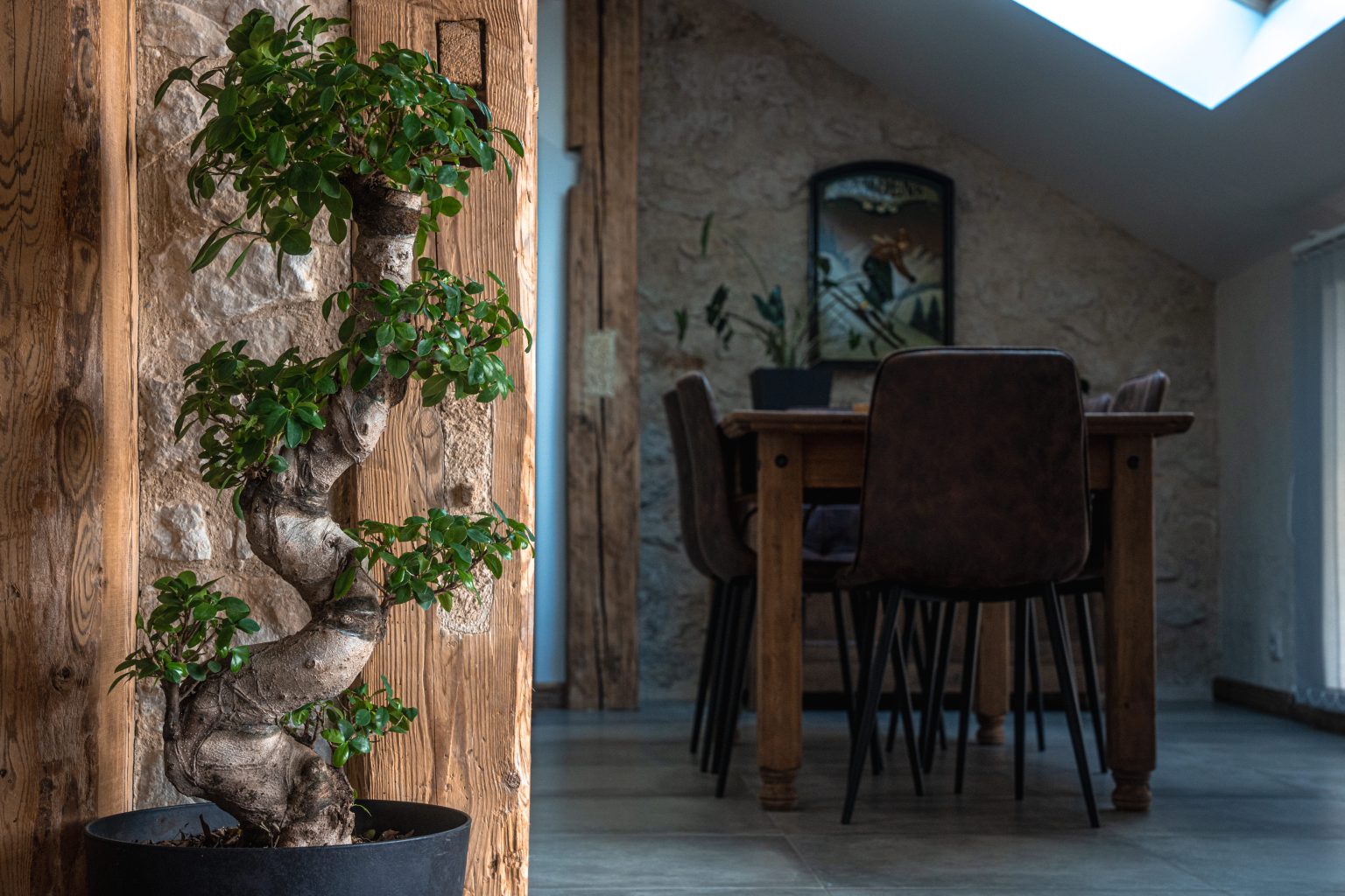 visuel sur la salle à manger avec les six chaises et la table. la décoration murale ainsi que les plantes vertes